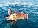 hogfish_20180322_080129.jpg