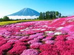 hokkaido_20171208_152838.jpg