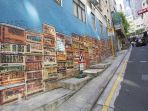 hong-kong-arts-month_20180403_085800.jpg