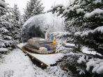hotel-bubble-terbaik-di-dunia.jpg