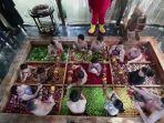 hotel-dengan-tema-hotpot-di-china.jpg