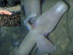 human-fish_20170227_194316.jpg