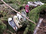 hutan-aokigahara_20170304_230110.jpg