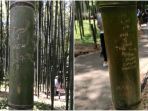 hutan-bambu-kyoto-jepang_20180525_105504.jpg