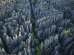 hutan-batu-madagaskar_20170616_204929.jpg