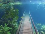 hutan-di-brazil-setelah-diguyur-hujan_20180225_155835.jpg