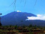 hutan-gunung-lawu-di-sisi-timur-tepatnya-di-perbatasan-desa-sukowidi.jpg