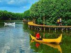 hutan-mangrove-grand-maerakaca.jpg