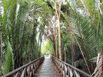 hutan-mangrove-kalltara.jpg