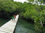 hutan-mangrove-lirang-di-bitung-sulawesi-utara.jpg