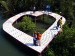 hutan-mangrove_20160907_140236.jpg