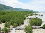 hutan-mangrove_20170205_104310.jpg