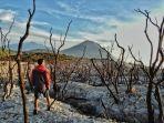 hutan-mati-papandayan.jpg