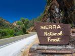 hutan-nasional-sierra.jpg