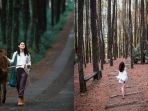 hutan-pinus-di-indonesia_20180804_202016.jpg