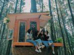 hutan-pinus-gunung-pancar-bogor.jpg