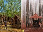 hutan-pinus-mangunan.jpg
