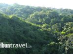 hutan-sambisa_20171028_140129.jpg