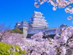 hyogo_20171031_154755.jpg