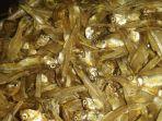 ikan-asin-teri-img.jpg