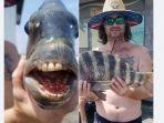 ikan-bergigi-mirip-manusia.jpg