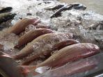ikan-mentah-11.jpg
