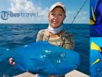ikan-mirip-nemo_20161225_182826.jpg