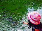 ikan-sakti-sungai-janiah-gambar.jpg