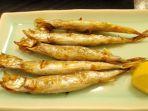 ikan-shishamo-yang-viral.jpg