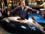 ikan-tuna.jpg