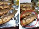 ikan-yang-sudah-digoreng-masih-hidup-dan-bergerak-gerak_20180301_183707.jpg