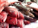 ikan_20180322_125155.jpg