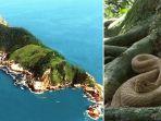 ilha-de-queimada-grande-pulau-ular-di-brazil.jpg