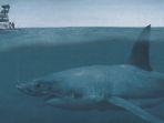 ilistrasi-hiu-megalodon.jpg