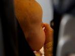 ilustrasi-bayi-di-pesawat.jpg