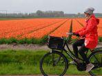ilustrasi-bersepeda-di-belanda.jpg