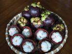 ilustrasi-buah-manggis.jpg
