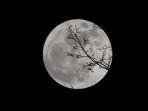 ilustrasi-bulan-purnama-mengulik-kisah-manusia-bermata-bulan.jpg