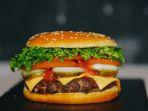 ilustrasi-burger-di-rusia.jpg