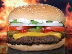 ilustrasi-burger-mcdonalds-1.jpg