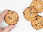 ilustrasi-choco-chip-cookies.jpg