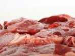 ilustrasi-daging-beku.jpg