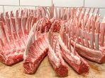 ilustrasi-daging-kambing-segar.jpg