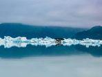 ilustrasi-glasier-di-taman-nasional-kenai-fjords.jpg