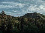 ilustrasi-gunung-yama-jepang.jpg