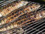 ilustrasi-ikan-bakar-hidangan-untuk-malam-tahun-baru.jpg