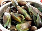 ilustrasi-kerang-hijau.jpg