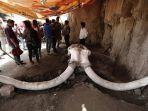 ilustrasi-kerangka-mamut.jpg