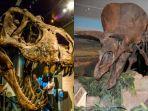 ilustrasi-kolase-kerangka-t-rex-dan-triceratops.jpg