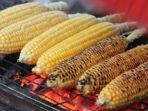 ilustrasi-kuliner-jagung-bakar.jpg